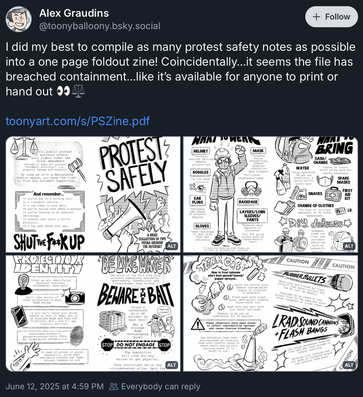 Alex Graudins safe protests zine